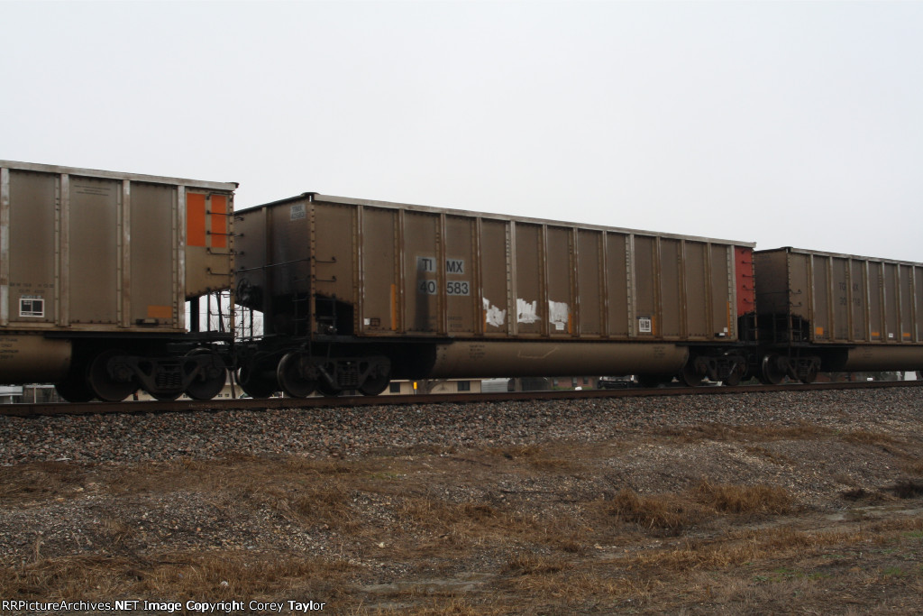 TIMX 40583